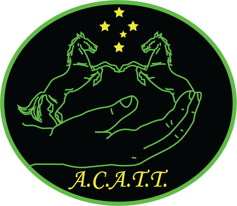 ACATT Australia's Premier Equine Therapy, Horse massage and nutrition college