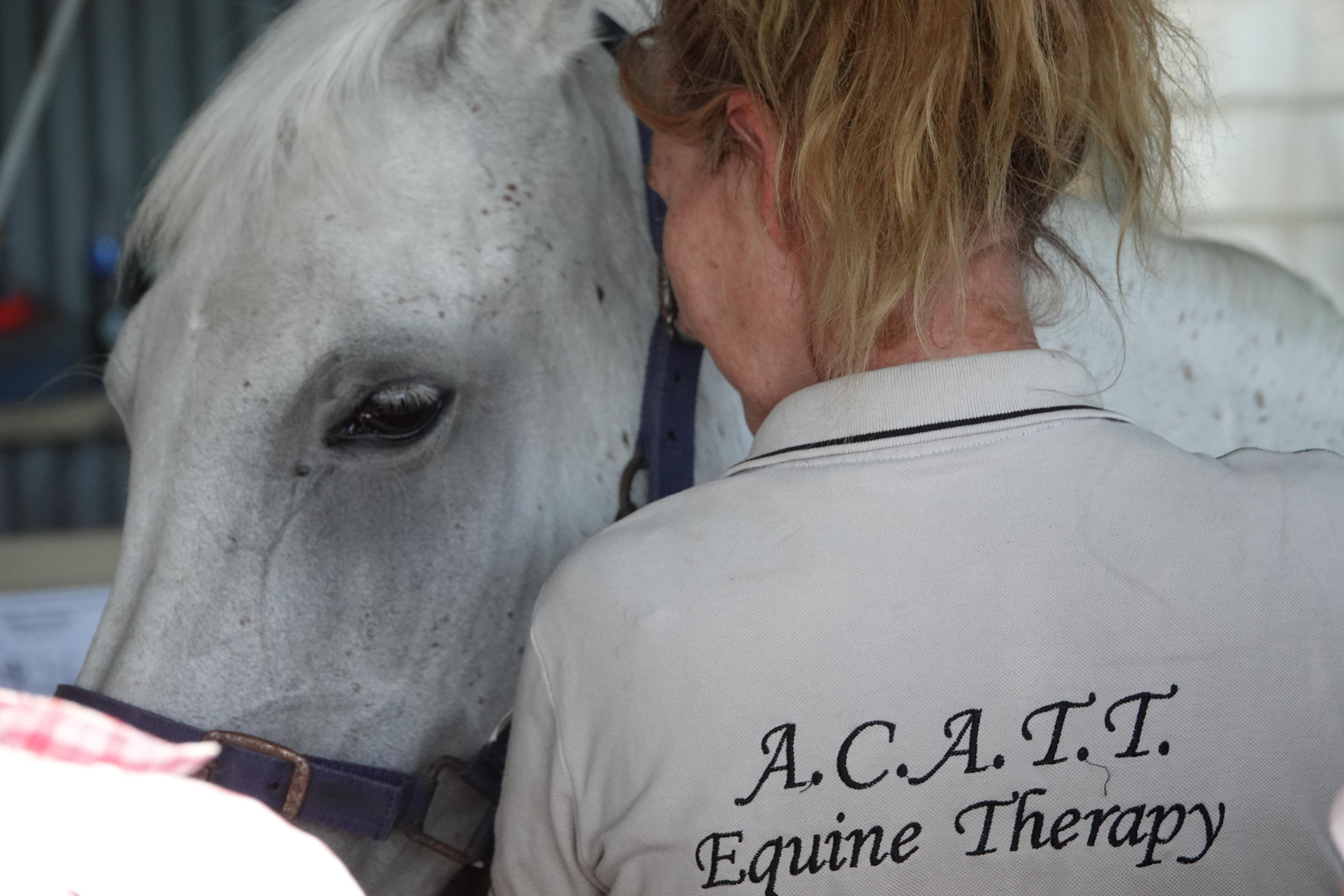 Equine Acupuncture Therapist, Horse Massage Instructor, Equine Nutritionist, Equine Myotherapist, ACATT Principal, Lecturer
